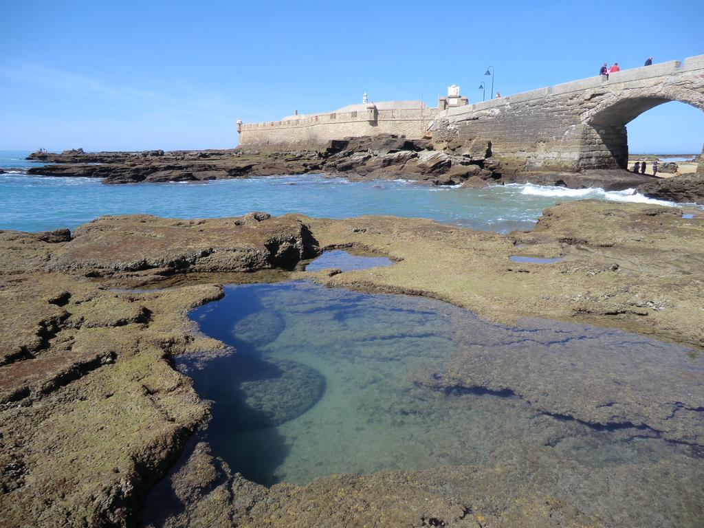 Ferienwohnung La Nube De San Miguel Cádiz Exterior foto